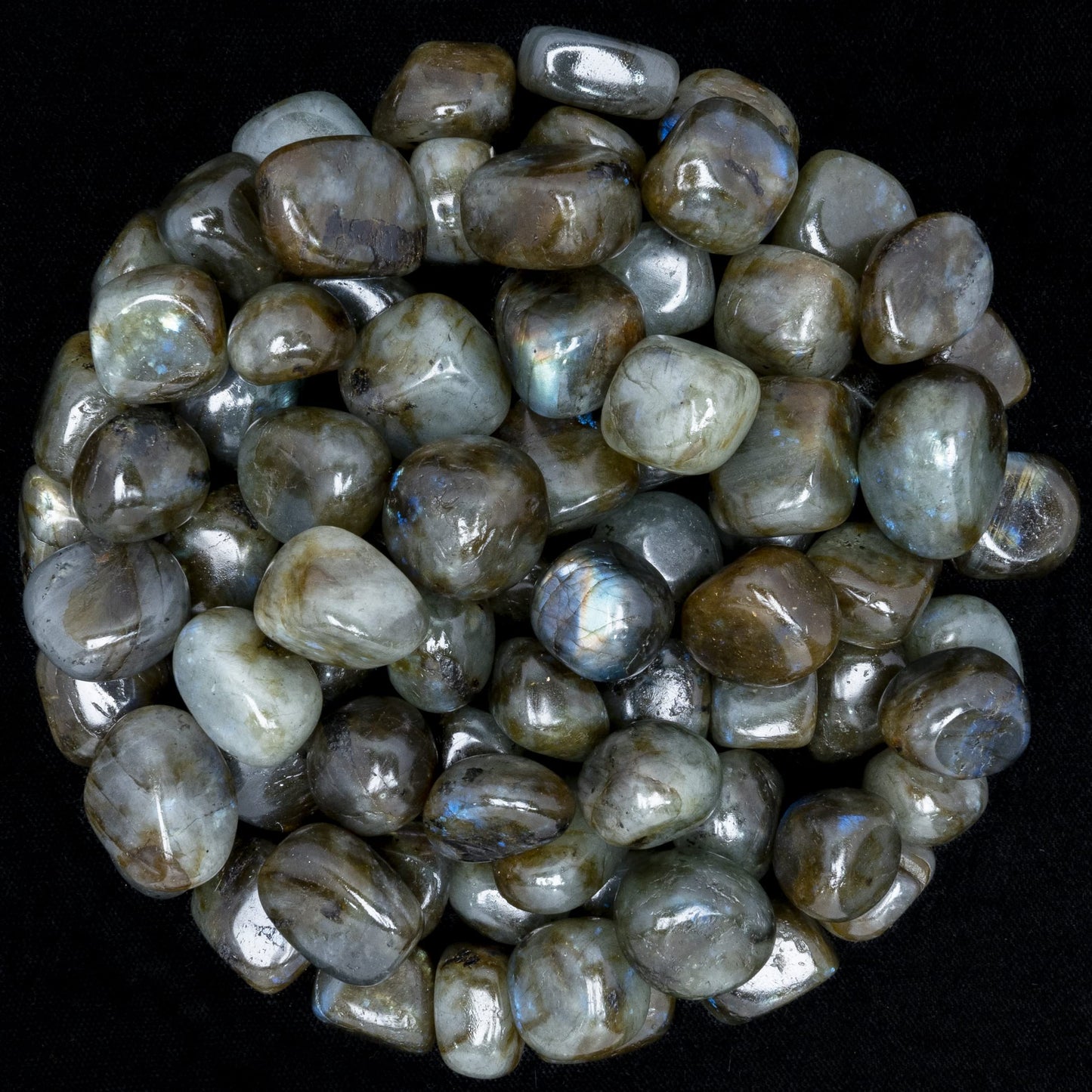Labradotire: Tumbled