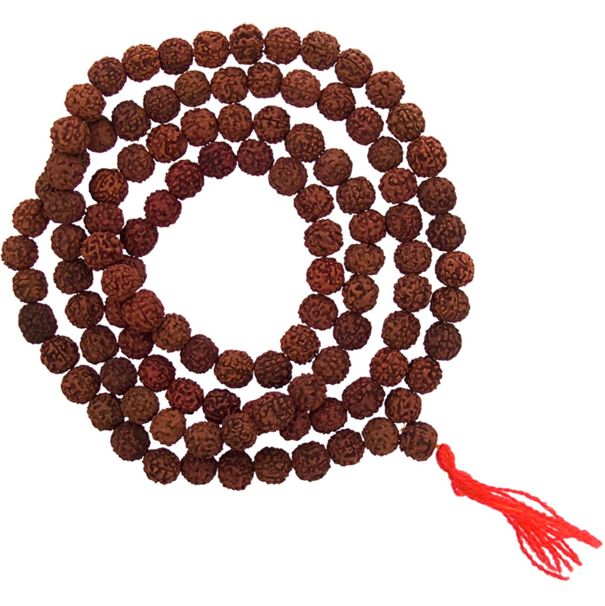 Mala Beads: Rudraksha Seeds