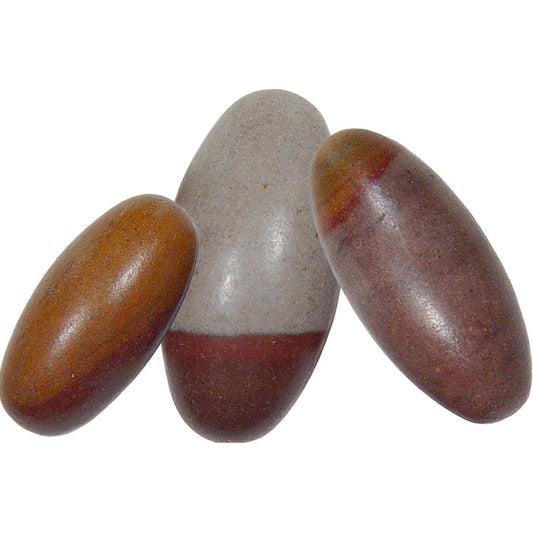 Shiva Lignem