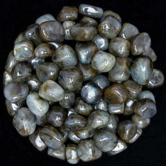 Labradotire: Tumbled