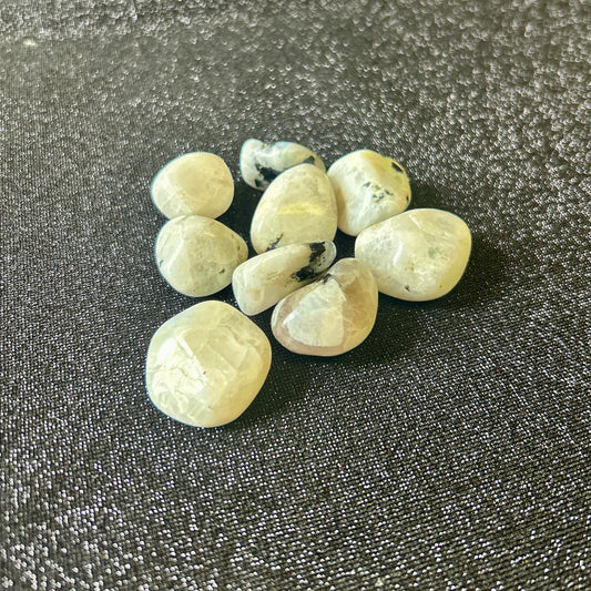 White Moonstone: Tumbled Approximately 1"