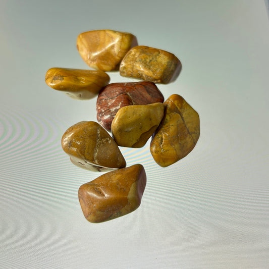 Picture Jasper: Tumbled Approximately 1"