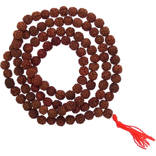 Mala Beads: Rudraksha Seeds